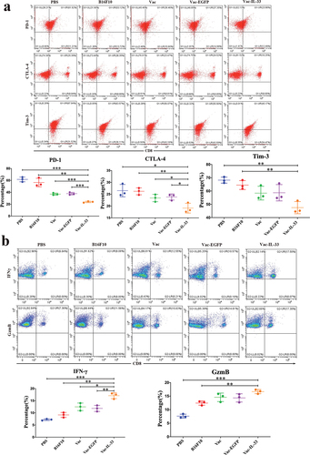 Figure 3. MSC vaccine decreases the expression of immune checkpoints and enhances central memory CD8+T cells. (a) Splenic lymphocytes were harvested in 3 weeks after the last immunization. Flow cytometry was used to determine the expression of PD-1, CTLA-4, Tim-3. (b) CD8+T cells were obtained 3 weeks after the last immunization. Intracellular IFN-γ and GzmB in CD8+T cells were examined by flow cytometry. (c) Serum was collected from eyeball blood of the mice. Levels of IL-2, IFN-α, TNF-α and IFN-γ were detected in serum from through ELISA. (d) the expression of CD44 and CD62 L on CD8+T cells in different groups was determined by flow cytometry. The central memory T cells (Tcm, CD8+ CD44+ CD62 L+) in vaccine group was significantly higher than those in B16F10 and PBS groups, (n = 3; *P < .05，**P < .01, ***P < .001). (n = 3; *P < .05，**P < .01，***P < .001).