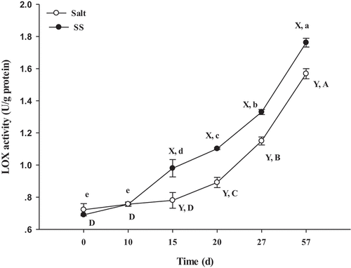 Figure 3. Changes of LOX activity in dry-cured beef during processing. Salt = dry-cured beef treated with salt; SS = dry-cured beef treated with salt substitute (39.7% of NaCl, 51.3% of KCl and a mixture of 7% L-lysine and 2% L-histidine). Different capital letters (A–D) indicate significant differences among the different times of salt (P < .05), and different lowercase letters (a–e) indicate significant differences among the different times of SS (P <.05). Different capital letters (X, Y) on the same day indicate significant differences among the different treatments (P < .05). Error bars represent the standard deviation of means (n = 3)