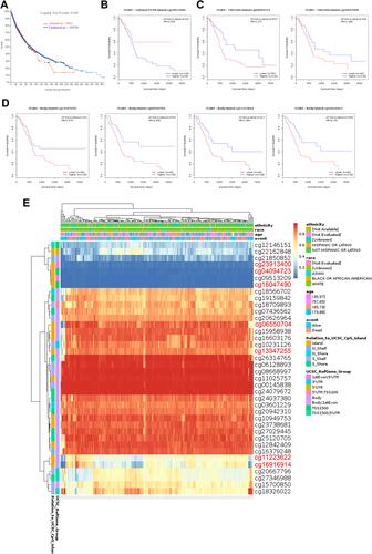 Figure 6 The MethSurv obtained the effect of methylation level and ITGB4 expression on prognosis in PAAD. (A) The association of the genetic alteration in ITGB4 with OS of PAAD patients. (B–D) the Kaplan-Meier survival of ITGB4 at the specific probes (cg23913400, cg04094723, cg16047490, cg13347255, cg11223622 and cg16916914). (E) The visualization between the methylation level and the ITGB4 expression.