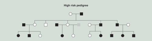 Figure 1. A typical high risk pedigree is illustrated.Black squares or circles indicate the presence of an alcohol dependence diagnosis. Gray indicates phenotype unknown. Squares indicate males; circles females.