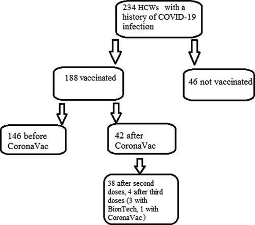 Figure 2. Vaccination history of HCWs who had experienced the COVID-19 infection.