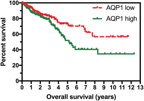 Figure 1. High expression of AQP1 was associated with shorter overall survival in colorectal carcinoma. RNA sequencing data reported as median number of fragments per kilobase of exon per million reads (FPKM) and survival data for the 590 patients in the combined TCGA-COAD and TCGA-READ datasets were obtained from TCGA Research Network (http://cancergenome.nih.gov/). Low AQP1 transcript expression (n = 261) was defined as FPKM < 11.4, and high (n = 329) as FPKM ≥ 11.4.