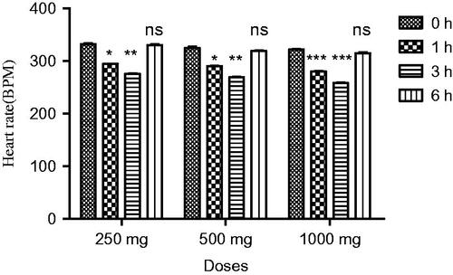 Figure 2. Effect of screening of various doses of extract on heart rate of normotensive rats, where, *** = (p < 0.001), and ns = non-significant vs. control (0 h).