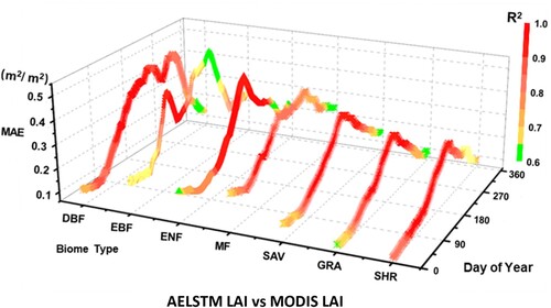 Figure 7. The 8-year averaged MAE and R2 (indicated by different colors) between AELSTM LAI and MODIS LAI from 2009 to 2016 for different biome types over the day of year.