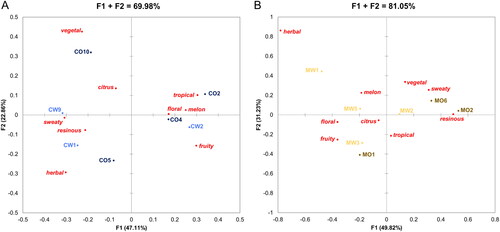 Figure 7. Correspondence Analysis for the CATA results of the beer aroma evaluated by a trained sensory panel for beers brewed with Cascade (A) or Mosaic® (B) hops originating from Oregon or Washington.