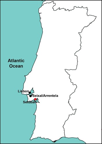 Figure 1. Draft of Setúbal, Lisbon, Seixal and Arrentela location. Designed by the author.