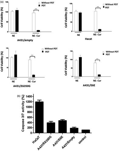 Figure 3. Phototoxicity assay in A431 and HaCaT cell lines. (a) Viability (%) of cells treated for 3 h and 24 h with NE and NE-cur (80 μM) followed by light irradiation (430 nm). Results are representative of 3 independent experiments (*p < .001). (b) Enzymatic activity of caspase -3 and -7 of cell lines treated with NE-cur followed by photoactivation shown as a percentage in relation to the control samples (100%). Results are representative of 3 independent experiments (*p < .001).