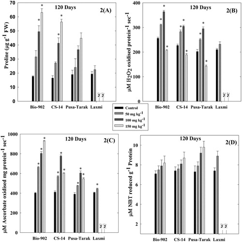 Figure 2. A comparative analysis of changes in proline content (A), CAT activity (B), APX activity (C) and SOD activity (D) in 120 days old four cultivars of B. juncea cultivars (Bio-902, CS-14, Pusa-Tarak and Laxmi, respectively) exposed to different Al concentrations (0, 50, 100 and 150 mg kg−1). (NC represents experiment not conducted due to non-germination of seeds). The data are expressed as Mean ± SD (n = 3). * shows statistical significance (p < .001).