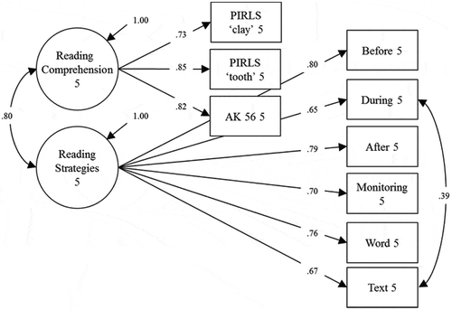 Figure 2. Measurement model for the Grade 5 variables. Note. PIRLS = Progress in International Reading Literacy Study; AK = Aarnoutse and Kapinga.