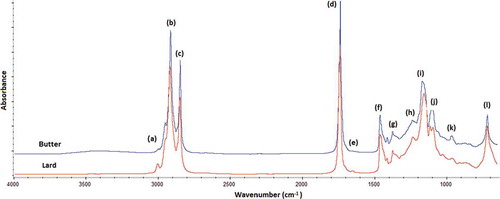 FIGURE 1 FTIR-ATR spectra of pure butter and lard showed peak at wavenumber of (a) 3005 cm−1; (b) 2923 cm−1; (c) 2850 cm−1; (d) 1746 cm−1; (e) 1650 cm−1; (f) 1465 cm−1; (g) 1376 cm−1; (h) 1236 cm−1; (i) 1163 cm−1; (j) 1116 cm−1; (k) 1097 cm−1; and (l) 725 cm−1.