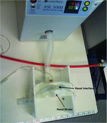 Figure 3.  Testing model.