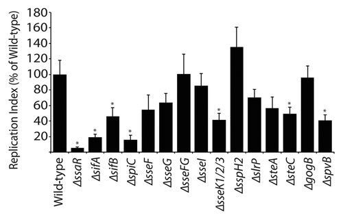 Figure 2 Replication of S. Typhimurium SPI2 mutants in RAW264.7 macrophages. Macrophages were infected with Salmonella, with a multiplicity of infection of 10. Fold replication was determined by comparing bacterial counts at 3 and 24 h post-infection. Error bars represent standard errors of the means. Asterisks indicate p < 0.05.