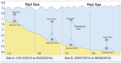 Fig. 3. Deployment of transducer units.