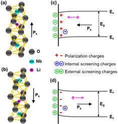 Figure 1. Schematic diagram of crystal structure and associated band structure of LiNbO3. (a), (b) Polarization orientation induced by a displacement of Nb within the same octahedron and a motion of Li from one octahedron to the adjacent vacant octahedron. (c), (d) Small band bending for LiNbO3 with dominated external screening.