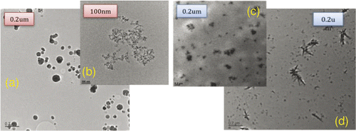 Figure 1. Transmission electron microscopy images of nanocomposites. (a) Commercial nanoparticles mixed in a resin using a planetary mixer – not a desired dispersion due to particle clusters, there are regions with no particles. (b) In-house prepared TiO2 nanoparticles mixed with epoxy using an ex situ method (planetary mixer). In this study this sample is labelled with ex situ nanocomposite – very small particles forming clusters. (c) In situ synthesised particles within a resin (study labelled with in situ nanocomposite) – good dispersion. (d) In situ synthesised particles within polyvinyl alcohol – good dispersion with large irregular particles.