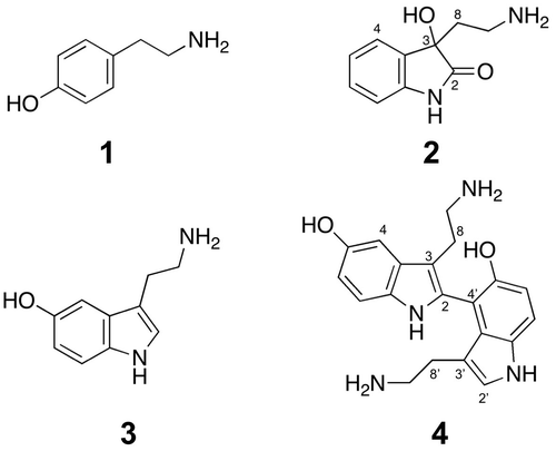 Fig. 2. Chemical structures of 1–4.