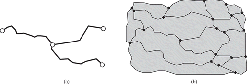 Figure 9. Result obtained with SPLITAREA (a) All skeleton edges and external chains are merged into the longest topological chains possible (having the same neighbour references). (b) The line work obtained fits in with the rest of the planar partition.