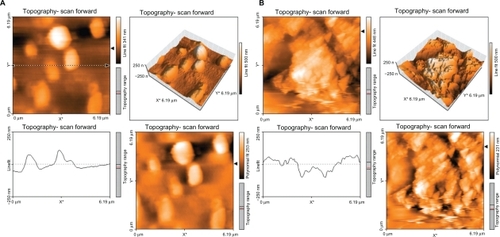 Figure 5 Topography of polyurethane modified by oxygen plasma for 30 seconds (A) and 60 seconds (B).