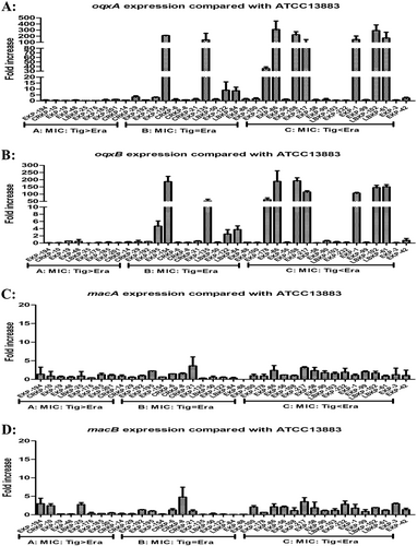 Fig. 2 Relative gene expression, expressed as fold change, of oqxAB and macAB efflux pumps in 37 clinical K. pneumoniae isolates.Expression levels were detected by qRT-PCR, with tigecycline-susceptible K. pneumoniae ATCC 13883 used as the reference strain (expression = 1)