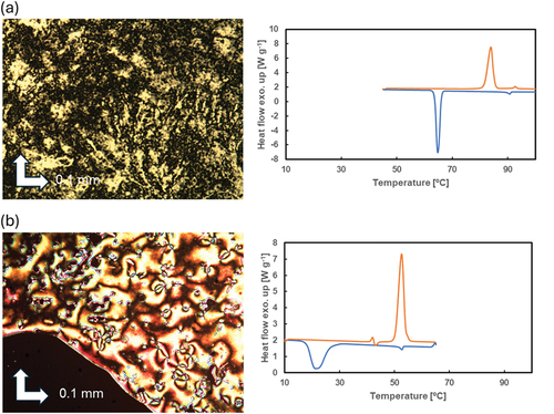 Figure 1. (Colour online) (a) A POM image at 86°C during cooling (left) and DSC thermograms (right) of 2B8. (b) A POM image at 40°C during cooling (left) and DSC thermograms (right) of 2B8[3F].