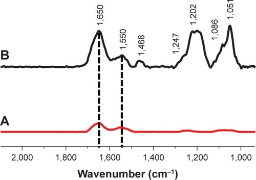 Figure 7 PM-IRRAS spectra of (A) AuPEG_2 or (B) AuPEG_4 immobilized onto a gold surface.Abbreviations: PM-IRRAS, polarization modulation-infrared reflection-adsorption spectroscopy; PEG, polyethylene glycol; AuPEG, PEG-coated AuNPs.