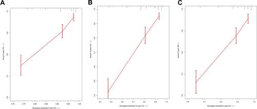 Figure 4 Calibration curve of the nomogram predicting (A) 3-year, (B) 10-year, and (C) 5-year OS patients with CPs.