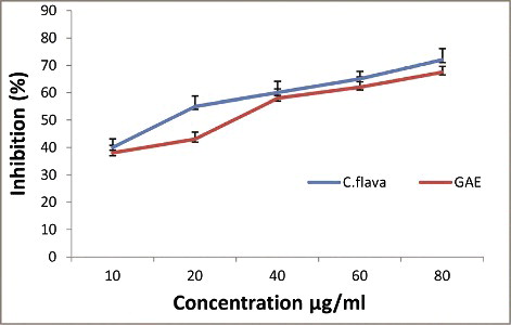 Figure 2. DPPH radical scavenging activity of Caralluma flava ethanol extract and gallic acid.