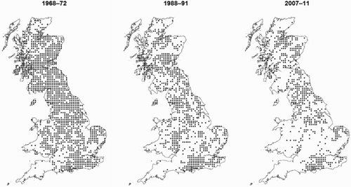 Figure 4. Chronological maps of Woodcock presence on a 10-km square scale in each of the 3 Atlas periods (1968–72, 1988–91 and 2007–11). Where evidence of breeding was only categorized as ‘possible’, records have been omitted to avoid inadvertent inclusion of migrant Woodcock.