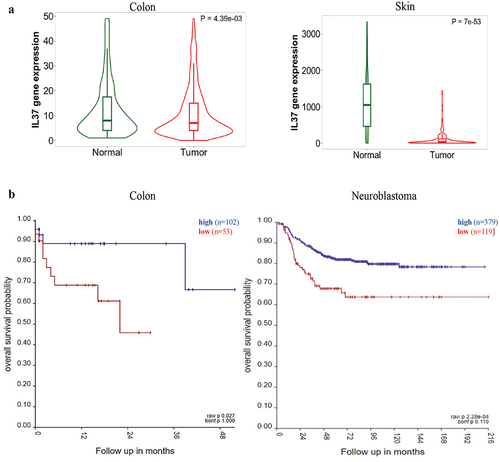 Figure 4. IL-37 gene expression on cancer patients and overall survival.