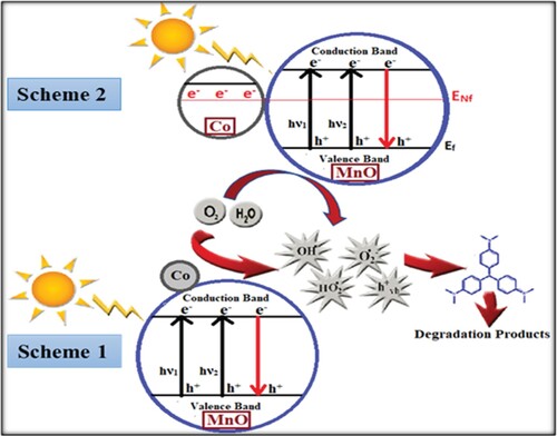 Figure 10. Schematic representation of enhanced photocatalysis by Co-MnO photocatalyst.