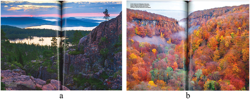 Figure 9. The photograph in Figure 9.a was taken by Anders Ekholm/Folio and depicts Skuleskogen National Park (Ottosson, Citation2012, pp. 108–109). The photograph in Figure 9.b was taken by Torbjörn Skogedal/Folio and portrays Söderåsen National Park (Ottosson, Citation2012, pp. 114–115). I have received permission from Folio to use the photos as examples in this article.