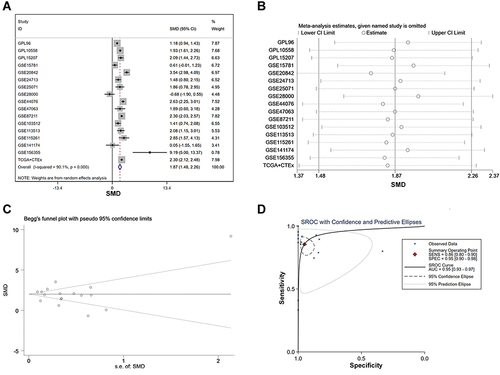 Figure 8 The integrated SMD and diagnostic meta-analysis of AZGP1 expression in CRC tissue versus normal colorectal tissue. (A) forest plots of SMD values; (B) forest plot of sensitivity analysis; (C) funnel plot; (D) SROC curve of the included studies.