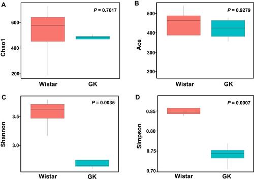 Figure 2 Comparison of richness and alpha diversity of gastric microbiota between the GK rats and Wistar rats.Notes: (A) Chao1 index and (B) Ace index reflecting the richness of gastric microbiota; (C) Shannon index and (D) Simpson index showing the diversity of gastric microbiota.. These indices were analyzed using the t-test.