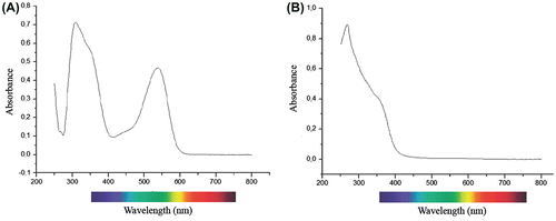 Figure 6. Absorption spectra of fresh petal extracts of Lysimachia arvensis in 1% HCl in (A) methanol and (B) 80% ethanol solutions, over the 250- to 700-nm wavebands.