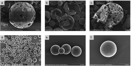 Figure 9. SEM images of prepared ticagrelor microspheres under different viewing angles
