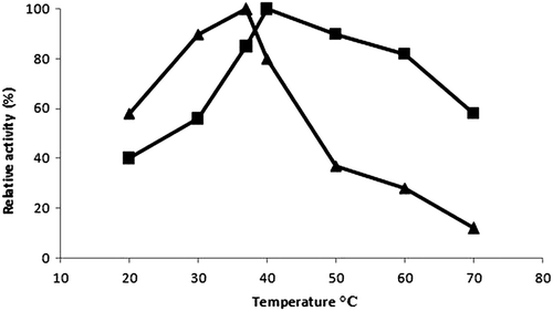Figure 1. Effect of temperature on free (▲) and immobilized trypsin (■) activity.