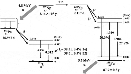 Figure 4. Partial decay scheme of 237Np.