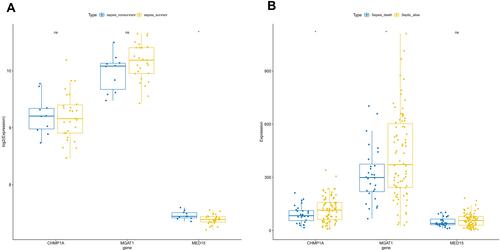 Figure 5 Analysis of the relationship between biomarkers and survival. (A) The significance of biomarkers on survival in the GSE54514 dataset. (B) Significant effect of biomarkers on survival in the GSE63042 dataset.