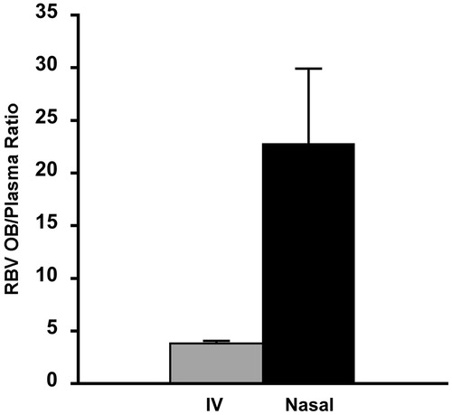 Figure 5. Olfactory bulb to plasma ratio (OB/plasma ratio) after nasal administration of the same dose of ribavirin (1 mg) by intravenous injection (grey bar) or nasal administration of ribavirin agglomerates with α-cyclodextrin excipient microparticles (black bar) (n = 6, average ± SEM). Data for the intravenous administration are according to Colombo et al., 2011.