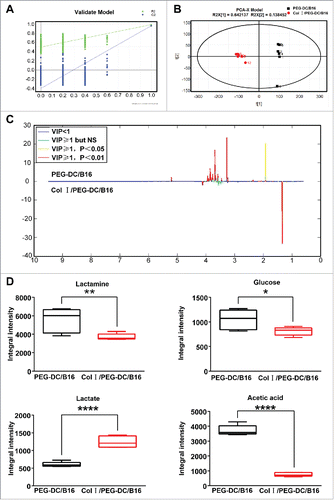 Figure 5. 1H NMR spectra and differentially expressed metabolites in the Col I/PEG-DC/B16 and the PEG-DC/B16 groups. (A) Four hundred permutations using 2 main components in the PLS-DA model were shown. (B) The separation of 2 main components by OPLS-DA model was shown. A representative experiment (n = 3) is shown. (C, D) Differentially expressed metabolites in 2 groups. Compared with the PEG-DC/B16 group, the lactic acid level in CI/PEG-DC/B16 cells was increased and alanine, acetic acid and glucose decreased. The asterisks indicated significant differences as follow: *p < 0.05, **p < 0.01, ****p < 0.0001.