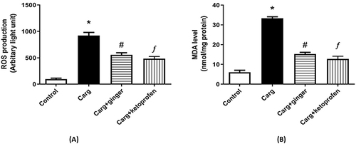 Figure 9 (A) ROS production in paw tissue in carrageenan-induced edema group was increased in compared with the control rats. GE-HPMC-TRE hydrogel and ketoprofen gel produced a significant decrease in ROS production compared to the control. (B) Paw-tissue homogenates of carrageenan-treated group showed a significant increase in MDA, and treatment with GE-HPMC-TRE hydrogel and ketoprofen gel inhibited this effect.