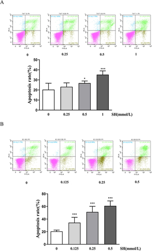 Figure 6 SH induced apoptosis in Jurkat T and Ramos B cells. The (A) Jurkat T and (B) Ramos B cells were treated with SH at different concentrations and stained with PI and Annexin V-FITC. The results are shown as the means ± SEM (n = 4). *p < 0.05, ***p < 0.001 vs control group.