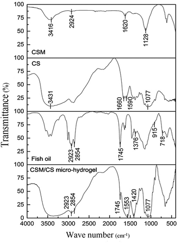 Figure 4. FTIR spectra of CSM (cress seed mucilage), CS (Chitosan), fish oil and CSM/CS micro-hydrogel loaded with fish oil.