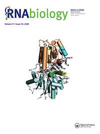 Cover image for RNA Biology, Volume 17, Issue 10, 2020