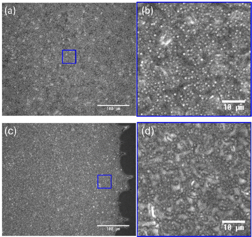 Figure 3. The inverted optical microscopy images of sample C. (a) and (b) are captured at the central region, and (c) and (d) are captured at the periphery of the sample, respectively. (b) and (d) are taken from the (blue) square in (a) and (c), respectively.