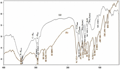 Figure 2. The FT-IR spectra of (a) copolymer and (b) NDPOE-acrylate.