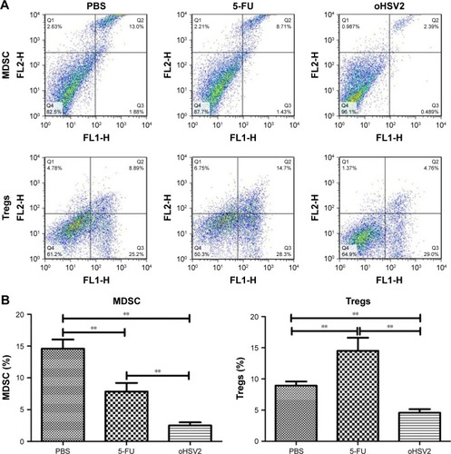 Figure 5 The oHSV2 increased the antitumor immunity in vivo.