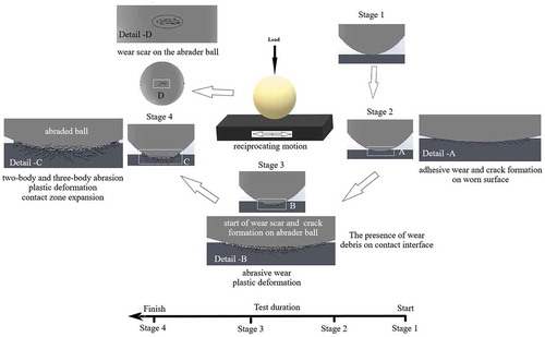 Figure 9. Schematic illustration of the change of wear mechanisms between the coating surface and the Al2O3 ball over the test time