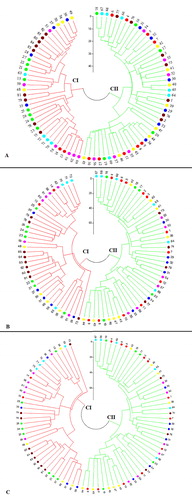 Figure 1. Fan-dendrogram generated using neighbour-joining clustering based on SCoT (A), CBDP (B) and SCoT + CBDP (C) data. See Table 1 for codes of genotypes.