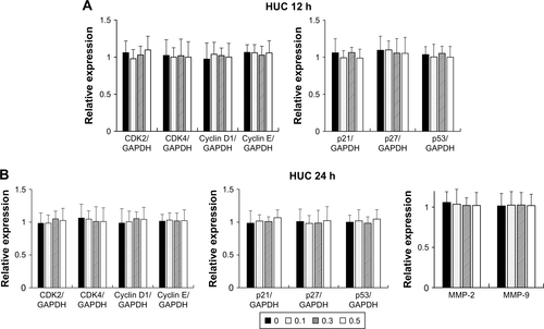 Figure S2 Relative mRNA expression of cell cycle regulators in heterometallic Au@Pt-NS-treated HUCs.Notes: HUCs were treated with 0, 0.1, 0.3, and 0.5 μM of Au@Pt-NSs for 12 h (A) and 24 h (B). Relative mRNA expressions for targets indicated were measured and represented as fold changes compared with the control. GAPDH was used as an internal control for the quantitation. Values are presented as mean ± SD of experiments in triplicate.Abbreviations: Au@Pt-NSs, gold@platinum nanoseeds; CDK, cyclin-dependent kinase; HUCs, human urothelial cells.